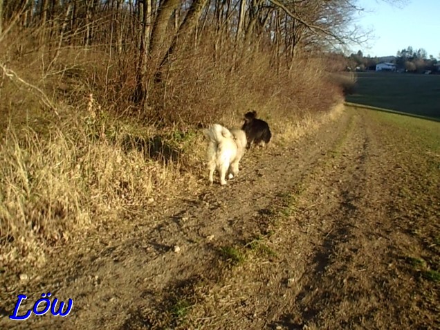 16.2.2024 - Howard und Dwix der Sonne entlang